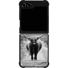 Coque Samsung Galaxy Z Flip5 - Silicone rigide noir Highland cattle