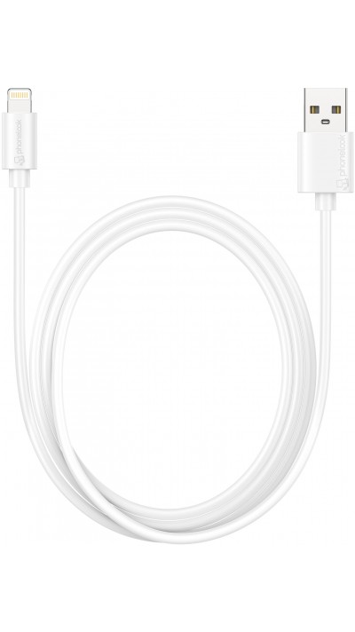 Câble Xiaomi Original USB-C / USB, Charge et Synchronisation 1m - Blanc -  Français