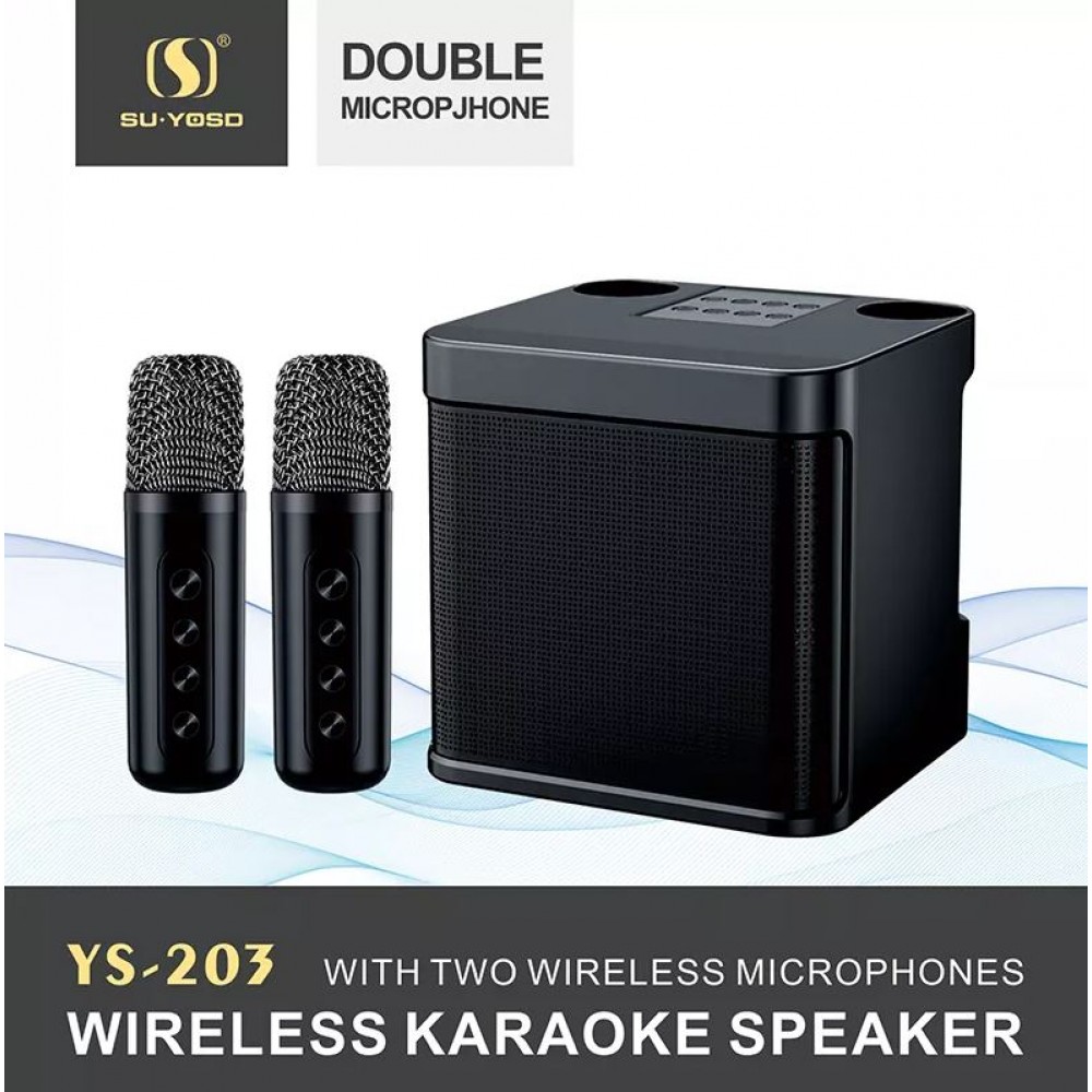 Karaoke Microphone sans fil et haut-parleur