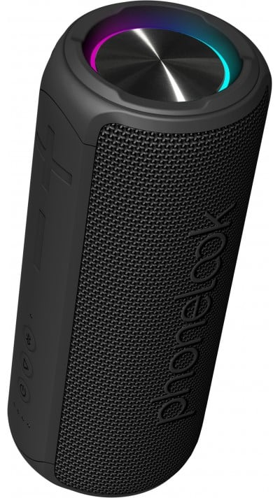 Haut-parleur enceinte karaoké YS-203 Bluetooth wireless + 2