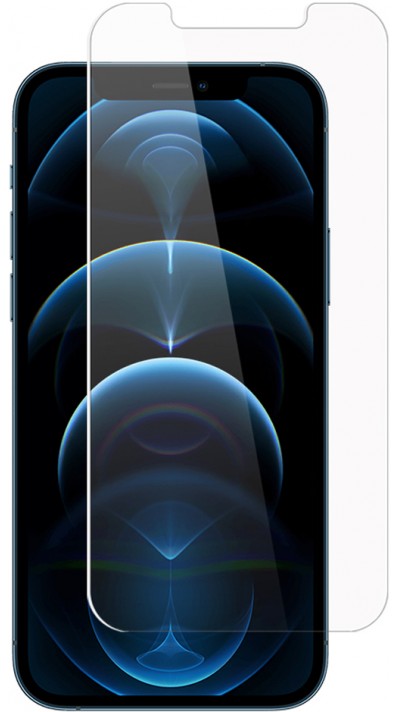 Vitre Protection écran verre Trempé & Filtre confidentialité - iPhone 11 Pro Max